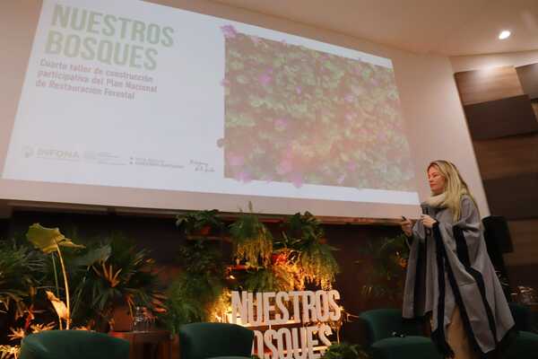 Infona continuará con plan nacional de reforestación e impulso a producción forestal - .::Agencia IP::.