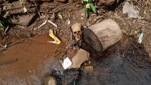 Hallan a orillas de un arroyo un cráneo humano - Oasis FM 94.3