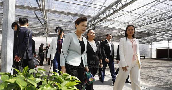La Nación / Floricultura del Paraguay: comitiva taiwanesa destaca resultados de la cooperación con Paraguay