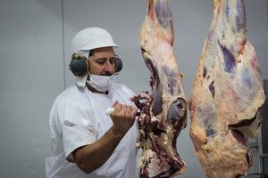 Exportación de carne vacuna de Estados Unidos cayó 10% en el primer semestre