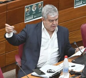 Riera niega vínculo de Peña con guardia de presunto narco brasileño - Política - ABC Color
