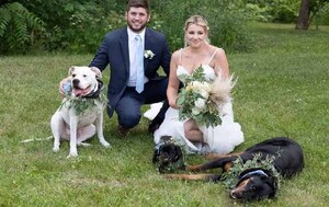 Pareja estadounidense se casó en una veterinaria para que su perro enfermo participe – Prensa 5