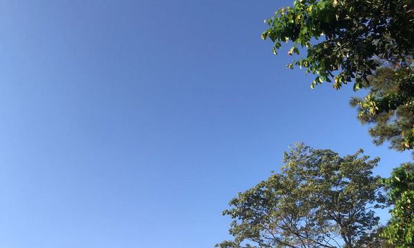 Lunes cálido a caluroso en Coronel Oviedo