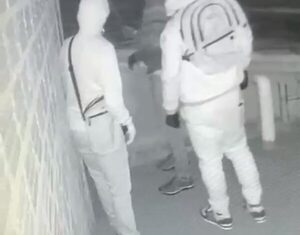 Perros evitan asalto a vivienda
