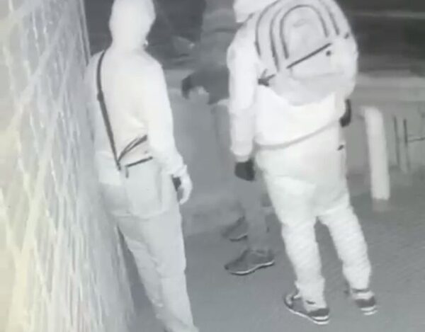 Perros evitan asalto a vivienda