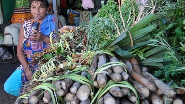 Diario HOY | Investigación científica sobre Pohã ñana en Paraguay, hace eco en España