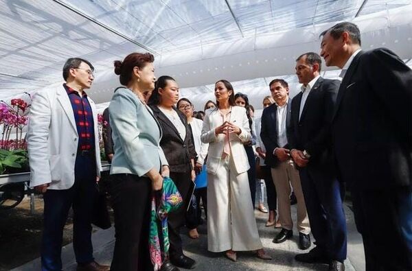 Orquideas nacionales se preparan para exportación