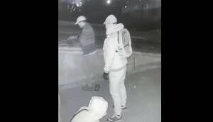 Firulais evitan ñemonda en una vivienda