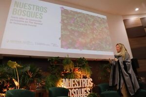 ECONOMÍA INFONA CONTINUARÁ CON PLAN NACIONAL DE REFORESTACIÓN E IMPULSO A PRODUCCIÓN FORESTAL - Itapúa Noticias