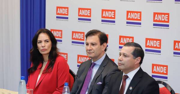 La Nación / Ande apunta a llegar al 100% de la cobertura eléctrica en este periodo