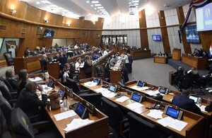 Diputados desisten de restituir los vales de combustibles - Política - ABC Color