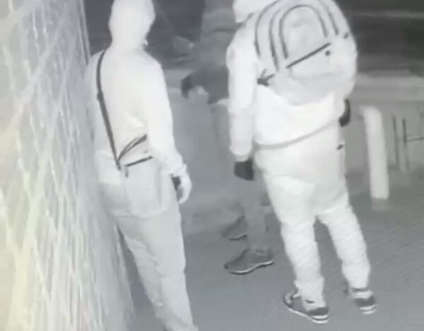 Perritos evitan asalto domiciliario