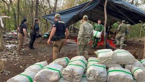 Diario HOY | Duro golpe a narcos: destruyen campamentos de marihuana en Amambay