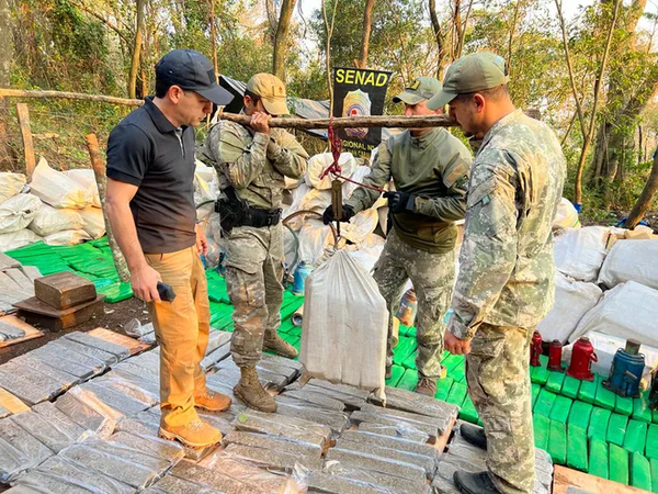 Senad destruye más de cinco toneladas de marihuana en la Colonia Estrella - Oasis FM 94.3