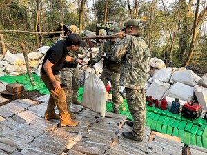 Destruyen 33 toneladas de droga en zona de supuestos campesinos sin tierra y no reportan narcos detenidos – La Mira Digital