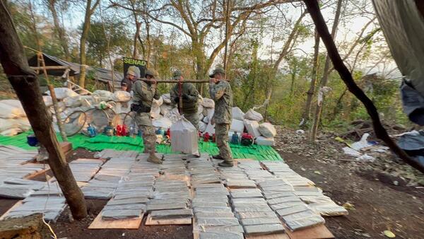 SENAD anuló más de 5 toneladas de marihuana y campamentos narcos en Amambay