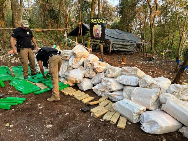 Desmantelan complejo “narco” con más de 5 toneladas de marihuana en Amambay - Policiales - ABC Color