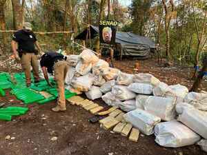 Millonaria destrucción de droga en la Colonia Estrella de Amambay