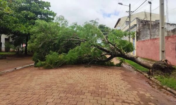 Activan alerta por ráfagas de viento de hasta 80 km/h - Clima - ABC Color
