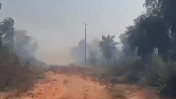 Bomberos reportan “incontrolable” incendio forestal en Nueva Colombia