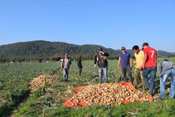 Director de la DEAG promete fortalecer la agricultura familiar como unidad productiva - Economía - ABC Color
