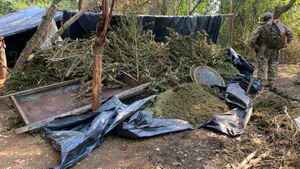 Senad destruye más de 27 toneladas de marihuana en Concepción