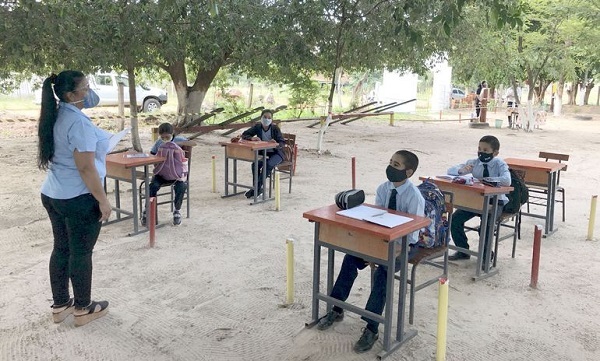 Estudiantes inician clases presenciales bajo árboles en Concepción - Portal Digital Cáritas Universidad Católica