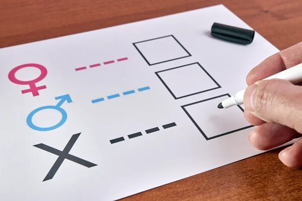 Alemania: el gobierno aprueba la ley que permitirá modificar el sexo registral a voluntad - Mundo - ABC Color