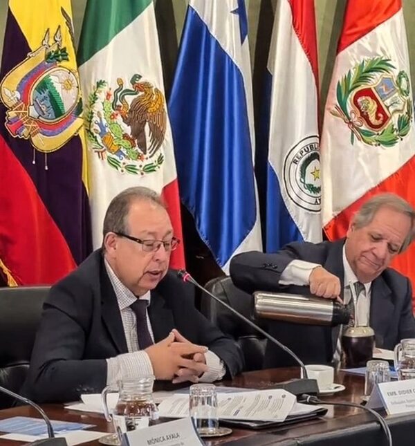 Paraguay expuso sobre comercio exterior en “Ciclo Países” de Aladi - El Independiente