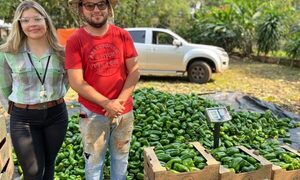 SENAVE certifica producción de locote