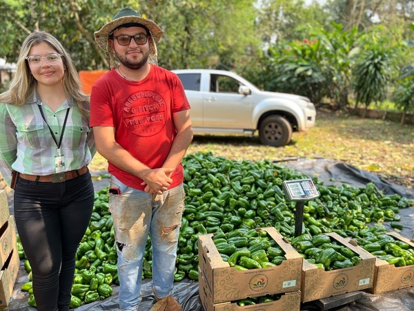 SENAVE certifica producción de locote en Minga Guazú