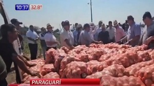 Desesperada situación de productores de cebolla - Noticias Paraguay