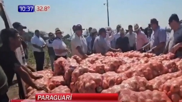 Desesperada situación de productores de cebolla - Noticias Paraguay