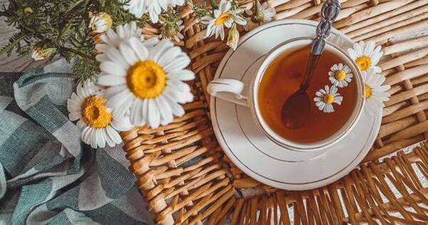 La Nación / ¿Cuál es el mejor horario para consumir el té de manzanilla?