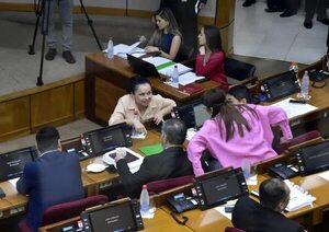 Senado exige a la Fiscalía datos sobre denuncias por declaraciones juradas de fiscales, jueces, legisladores y aduaneros - Política - ABC Color