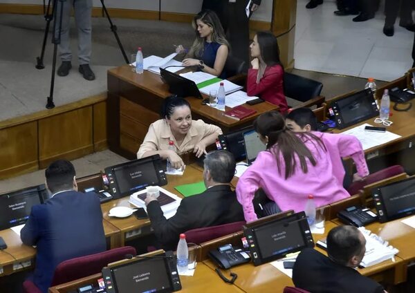 Senado exige a la Fiscalía datos sobre denuncias por declaraciones juradas de fiscales, jueces, legisladores y aduaneros - Política - ABC Color