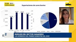 Análisis del sector ganadero: los números del primer semestre del 2023 - Factor Clave - ABC Color