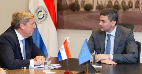 La Nación / Observadores Electorales de la UE entregaron informe final sobre elecciones