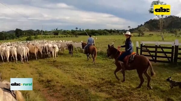 Video: Brasil invertirá US$ 120.000 para recuperar pasturas degradadas - ABC Rural - ABC Color