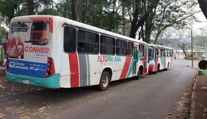 Junta Municipal anula dos itinerarios explotados por la empresa Alto Paraná - La Clave