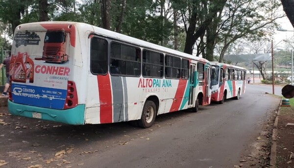 Junta Municipal anula dos itinerarios explotados por la empresa Alto Paraná - La Clave