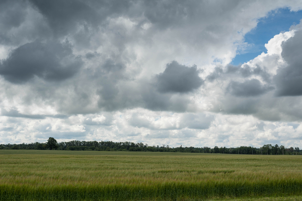 El Niño ganará espacio al inicio de la campaña agrícola 2023/24