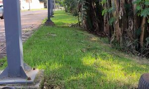 Parque Independencia seguirá a oscuras