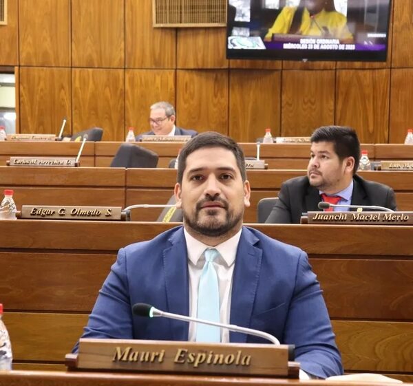 Unión Europea: diputados piden explicaciones sobre convenio al canciller nacional - Política - ABC Color