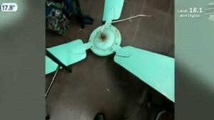 El ventilador de un colegio se desprende y cae sobre alumno de 8 años