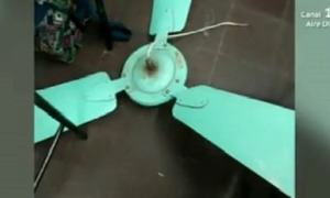 Asunción: El ventilador de un colegio se desprende y cae sobre alumno de ocho años