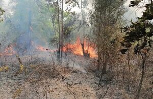 Hoy se registran 29 focos de calor en áreas silvestres protegidas y 18 fuegos activos  - Nacionales - ABC Color