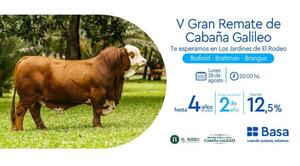 Diario HOY | Basa invita a aprovechar sus beneficios en el remate de la Cabaña Galileo