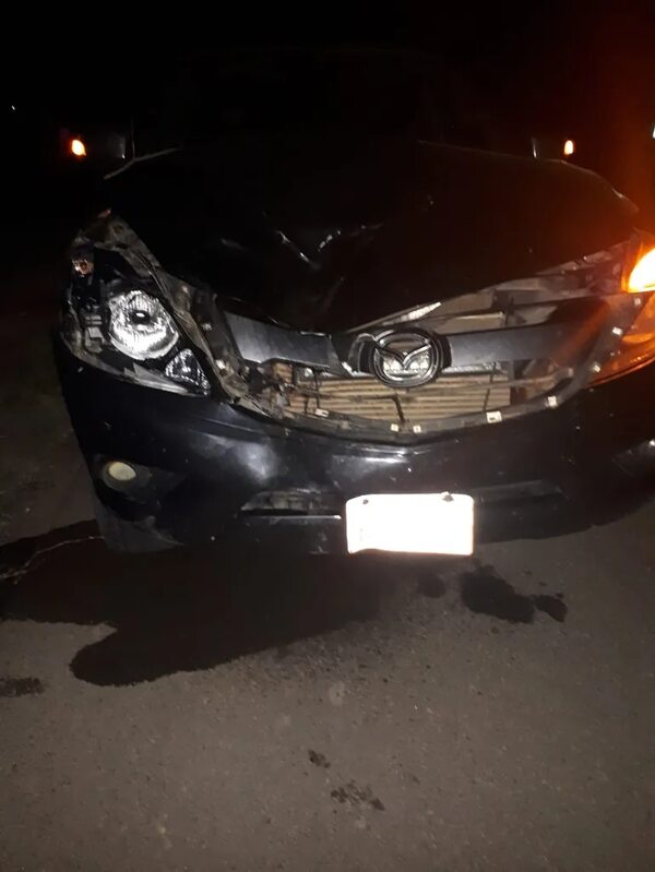 Animales sueltos ocasionan accidentes en rutas del Ñeembucú - Nacionales - ABC Color