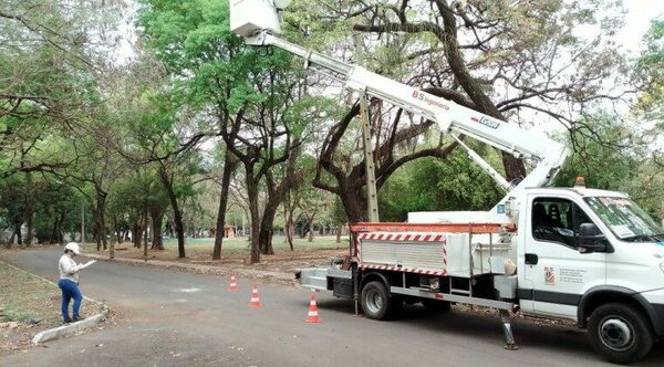 Proyectan 5.000 alumbrados públicos para reforzar seguridad